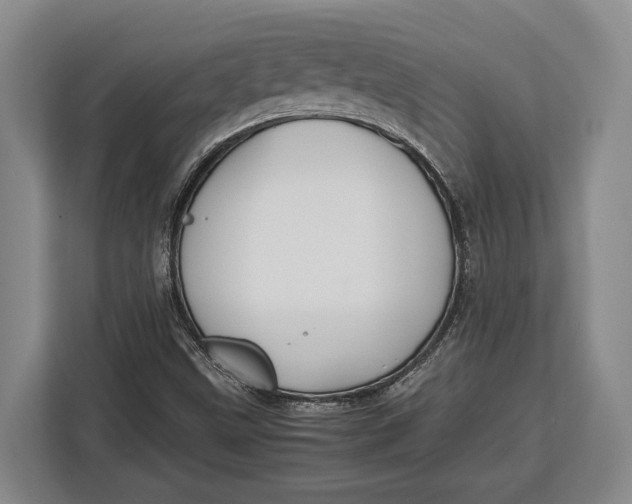 X0000113041499200909171510