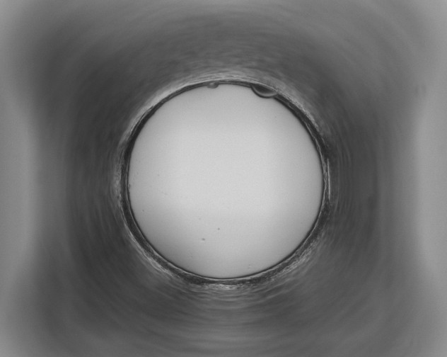 X0000113041500200909171510