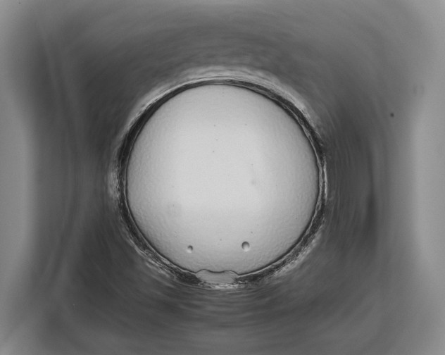 X0000113041501200909171510