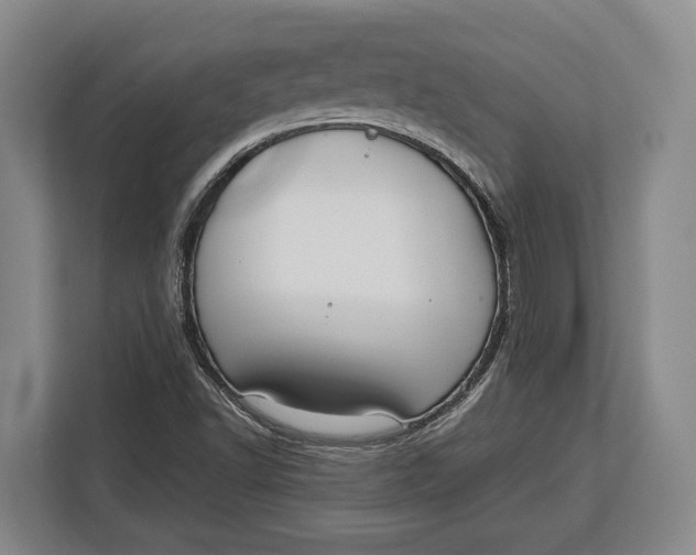 X0000113041502200909171510