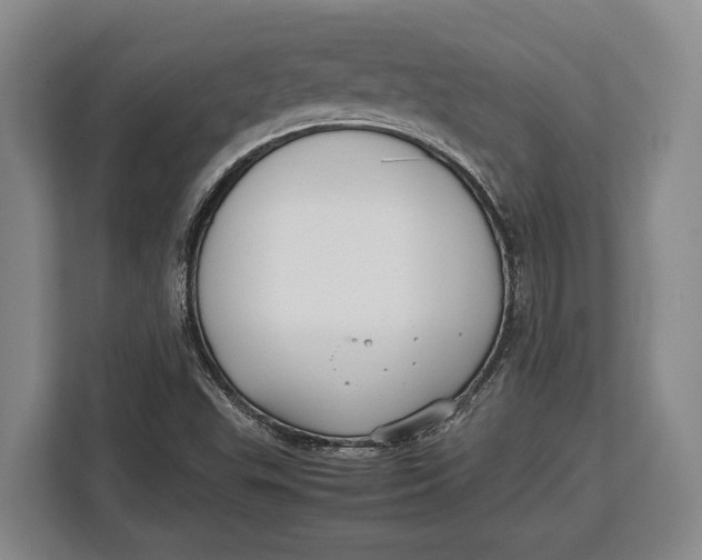 X0000113041503200909171510