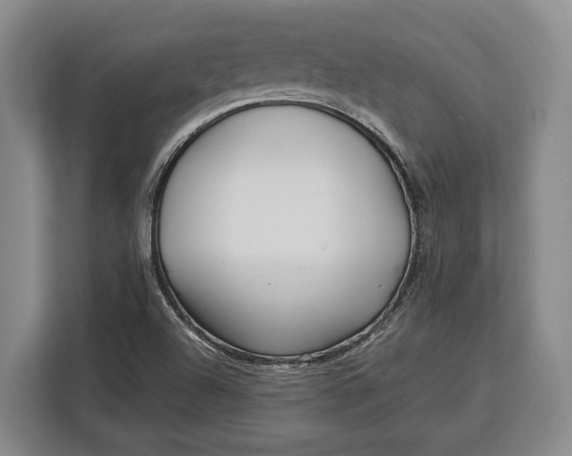 X0000113041504200909171510