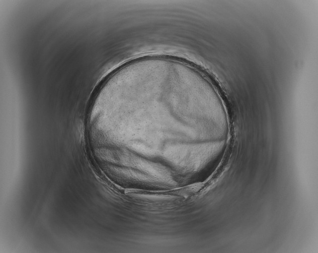X0000113041505200909171510