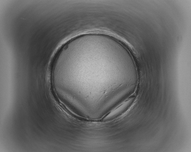 X0000113041506200909171510
