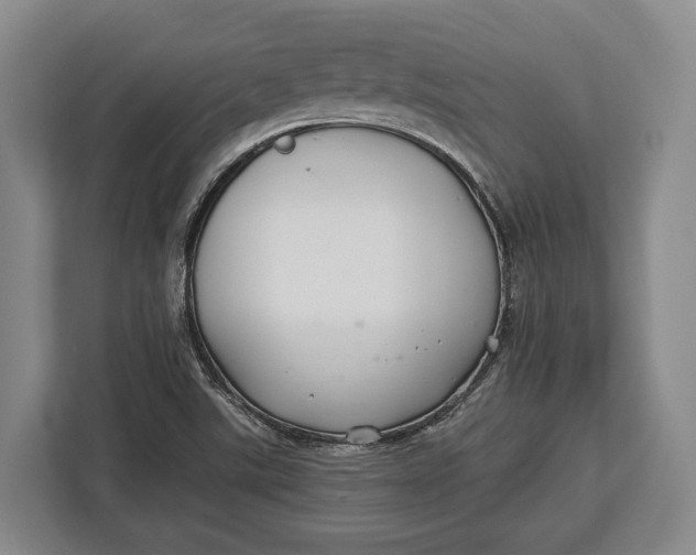 X0000113041507200909171510