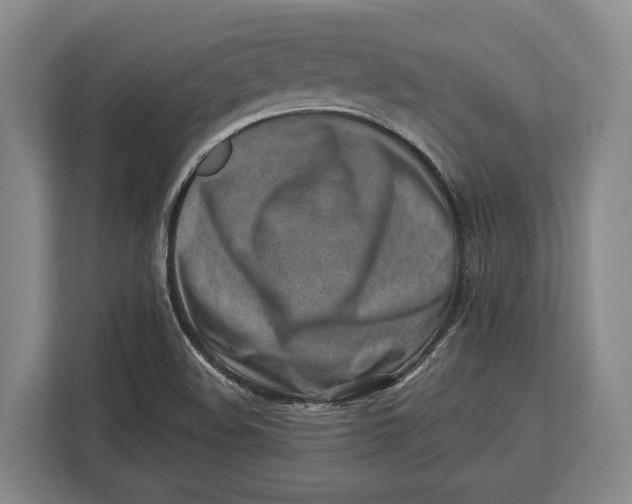 X0000113041508200909171510