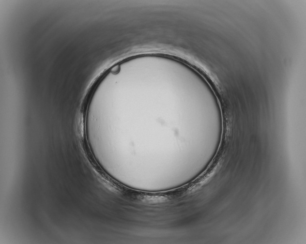 X0000113041509200909171510