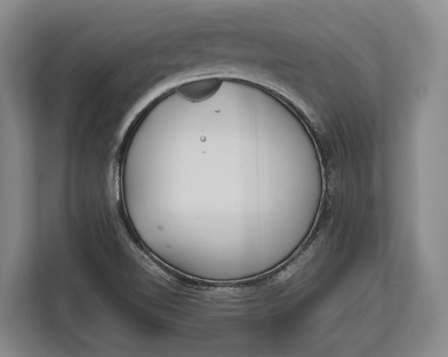X0000113041510200909171510