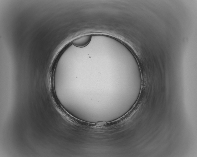 X0000113041511200909171510