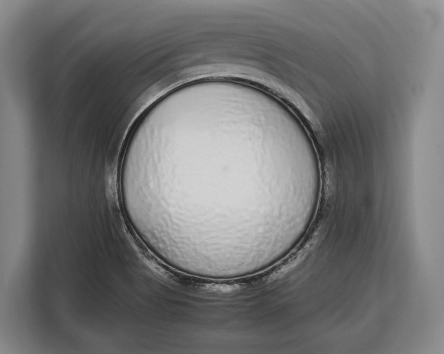X0000113041513200909171510