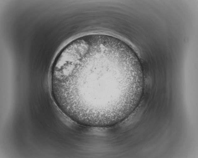X0000113041514200909171510
