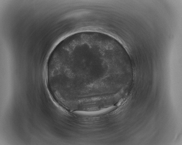X0000113041515200909171511