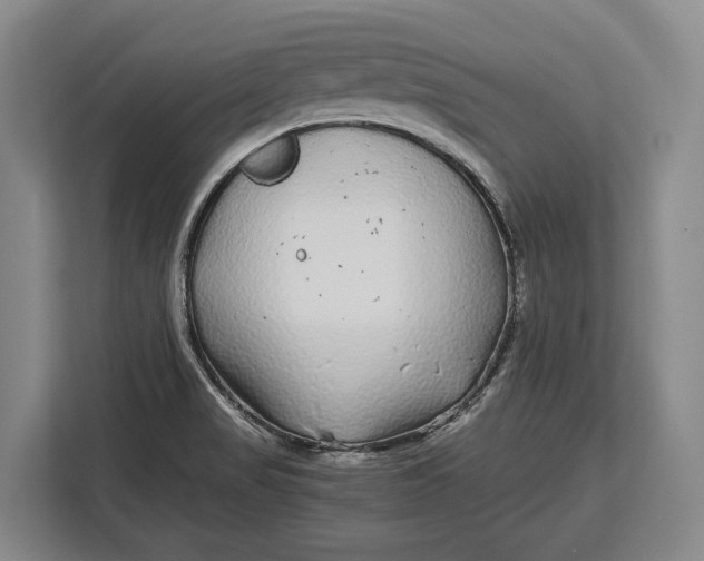 X0000113041517200909171511