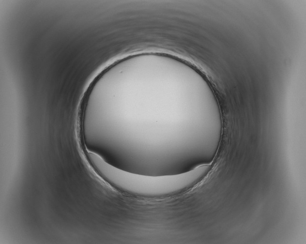 X0000113041518200909171511