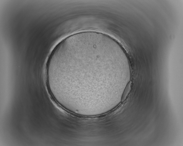 X0000113041519200909171511
