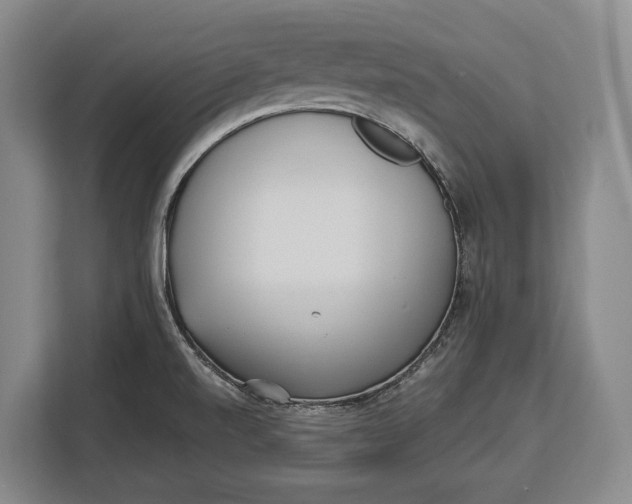 X0000113041520200909171511