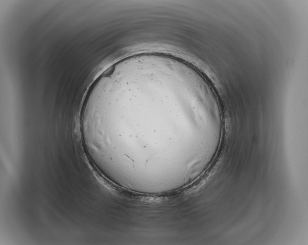 X0000113041521200909171511