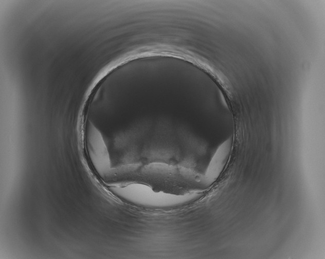 X0000113041522200909171511