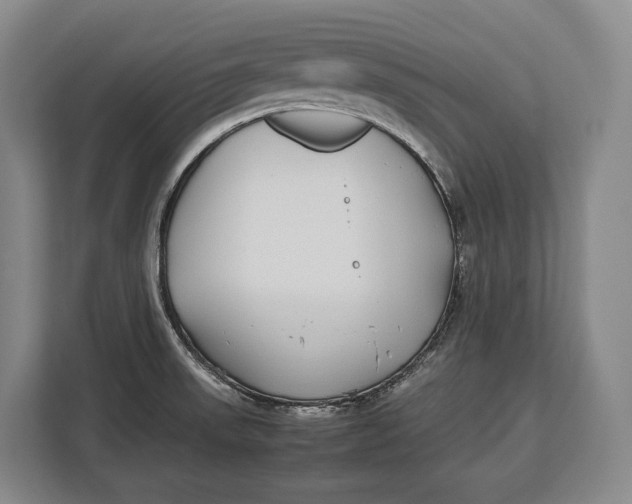 X0000113041523200909171511