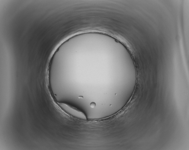 X0000113041524200909171511