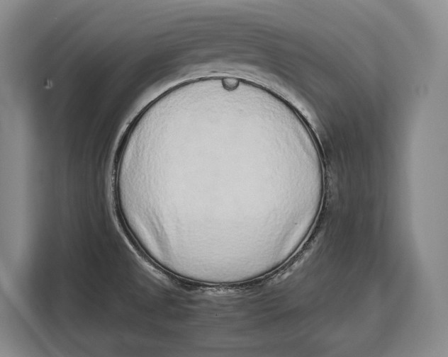 X0000113041525200909171511