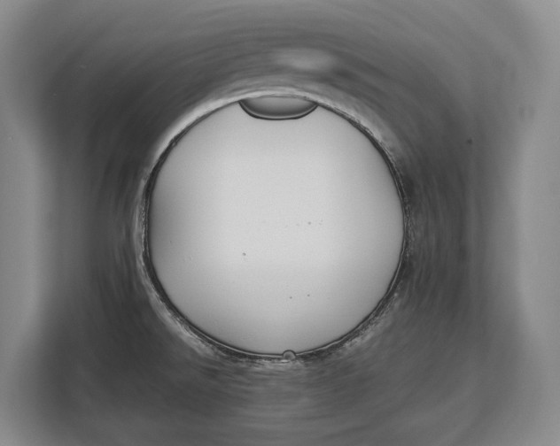 X0000113041526200909171511