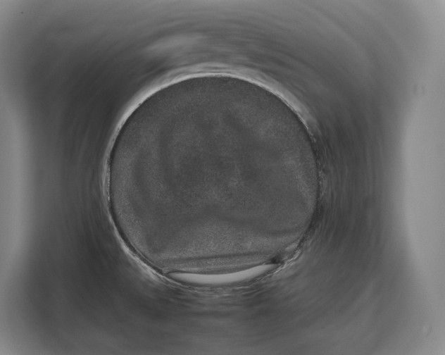 X0000113041527200909171511