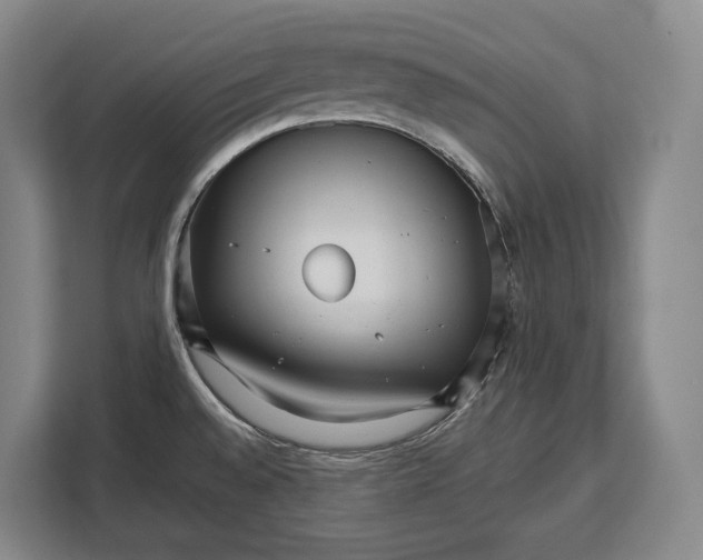 X0000113041528200909171511