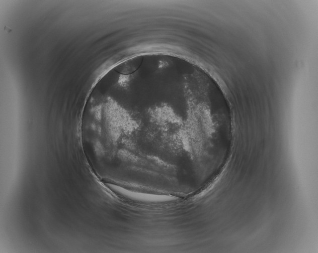 X0000113041529200909171511