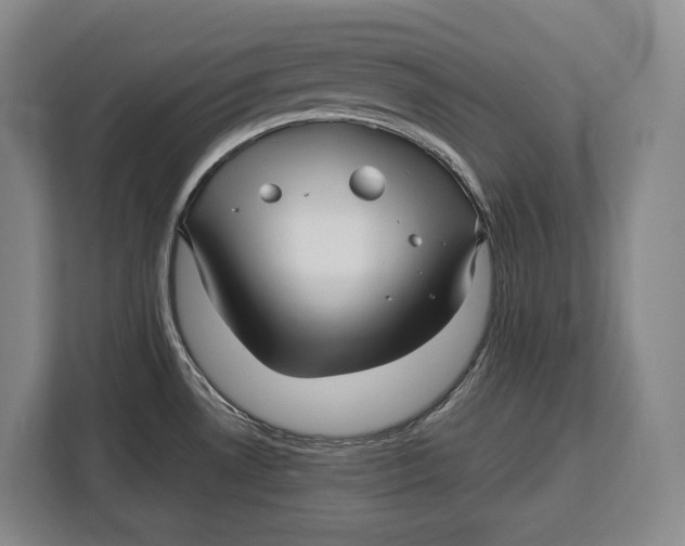 X0000113041530200909171511