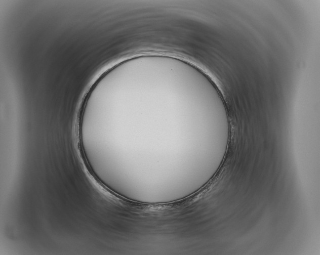 X0000113041531200909171511