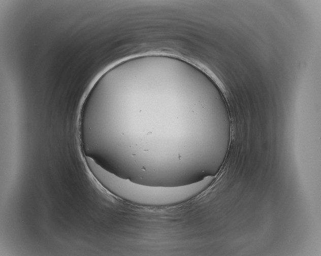 X0000113041532200909171511