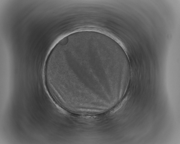 X0000113041533200909171511