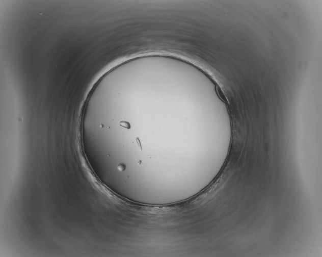 X0000113041534200909171511