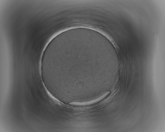 X0000113041535200909171511
