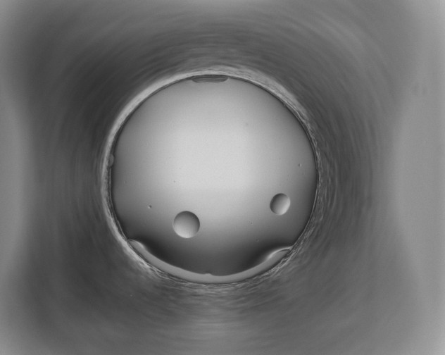 X0000113041536200909171511