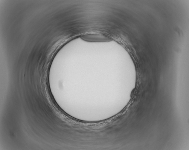 X0000113040001200909241444