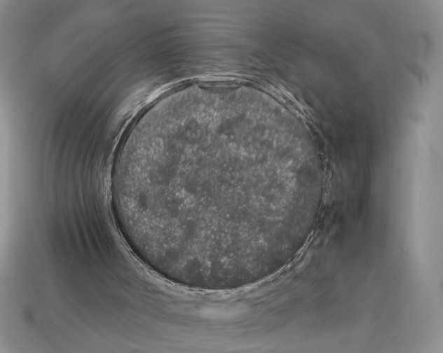 X0000113040002200909241444
