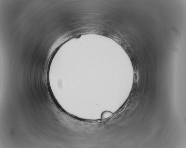 X0000113040004200909241444