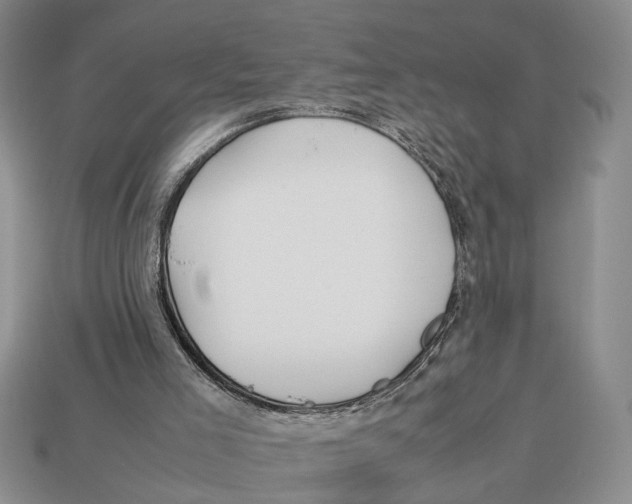 X0000113040005200909241444