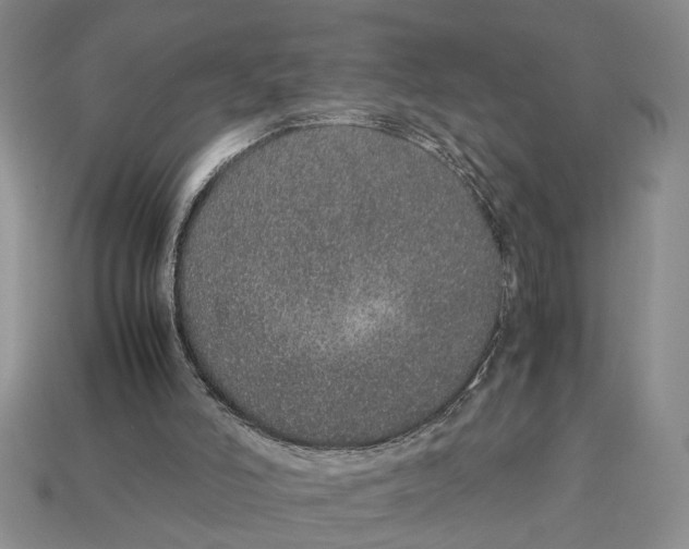 X0000113040006200909241444