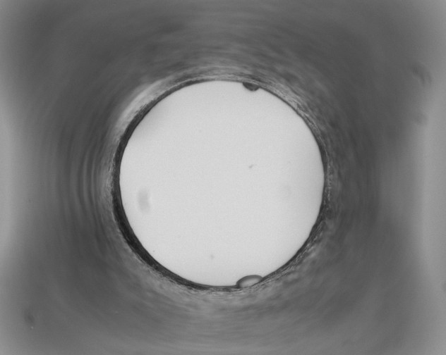 X0000113040007200909241444
