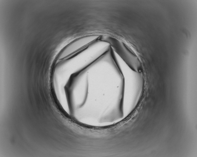 X0000113040008200909241444