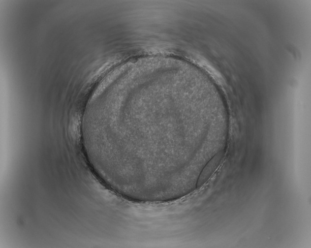 X0000113040009200909241444