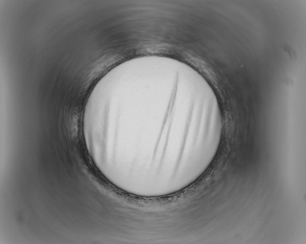 X0000113040010200909241444