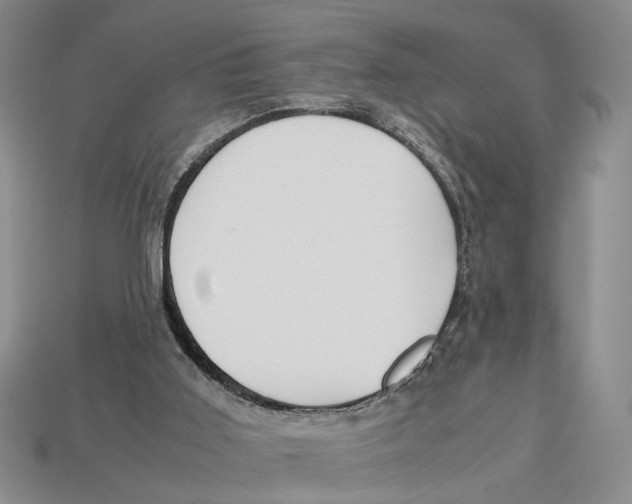 X0000113040011200909241444