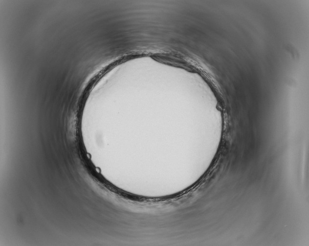 X0000113040012200909241444
