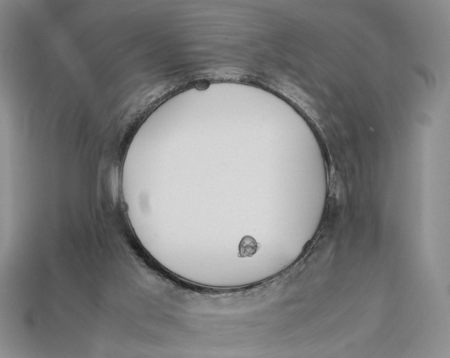 X0000113040013200909241444