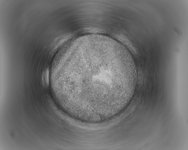 X0000113040014200909241444