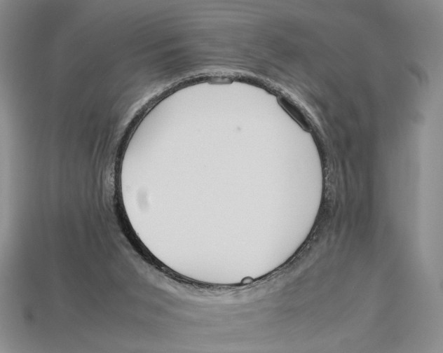X0000113040015200909241444